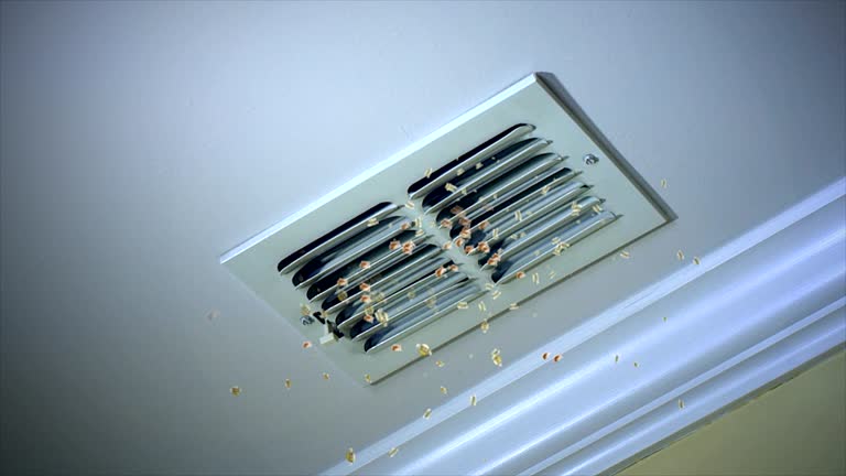 Best Air Duct Cleaning Near Me  in Livonia, LA