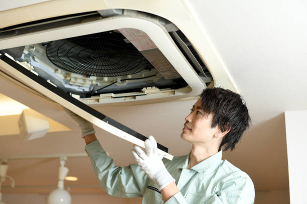 Best Local Air Duct Cleaning Services  in Livonia, LA